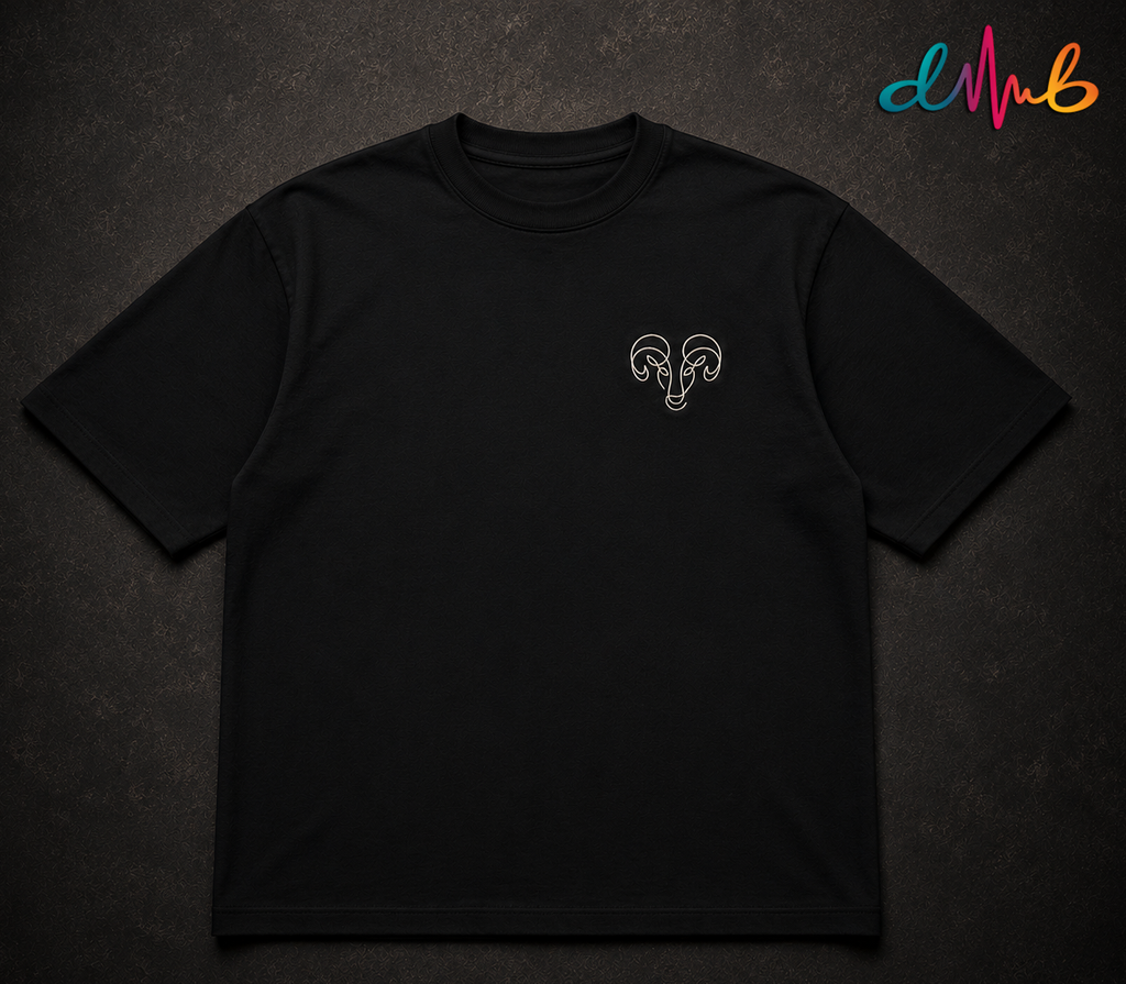 Aries Zodiac Oversized Embroidered T-Shirt – Premium Black Streetwear Tee | Dhaaga Beats